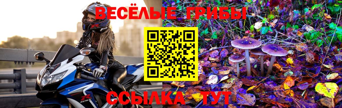 Галлюциногенные грибы MAGIC MUSHROOMS Бузулук