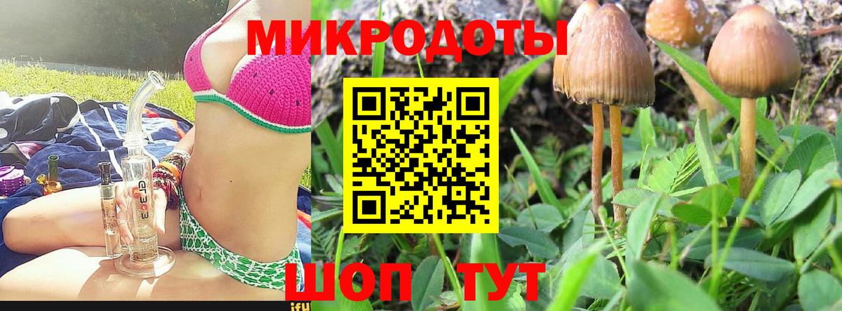 где найти   Галлюциногенные грибы мицелий  Вход с VPN  Бузулук 